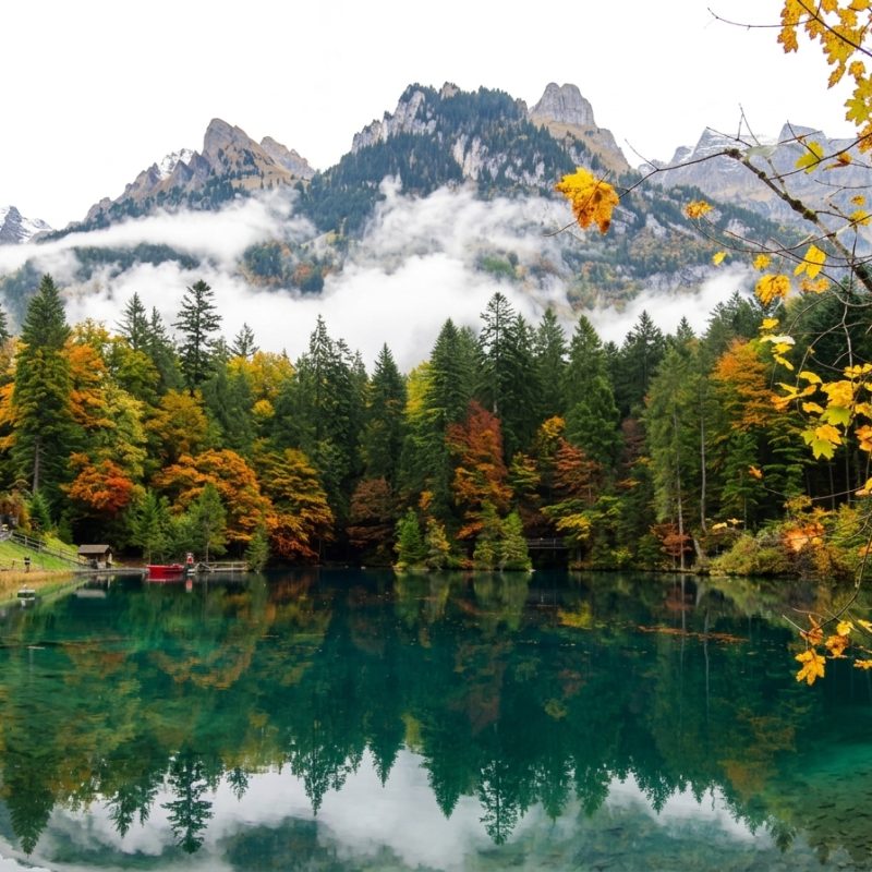 Blausee + Berna Privativo — tour privativo na Suíça com a Swiss Xperience