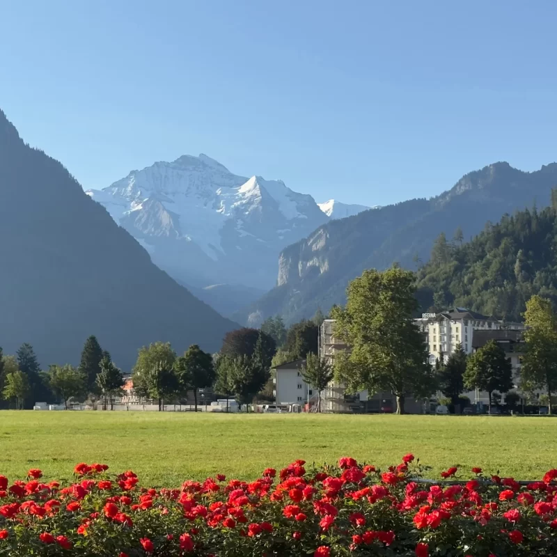 Interlaken_Jungfrau_View