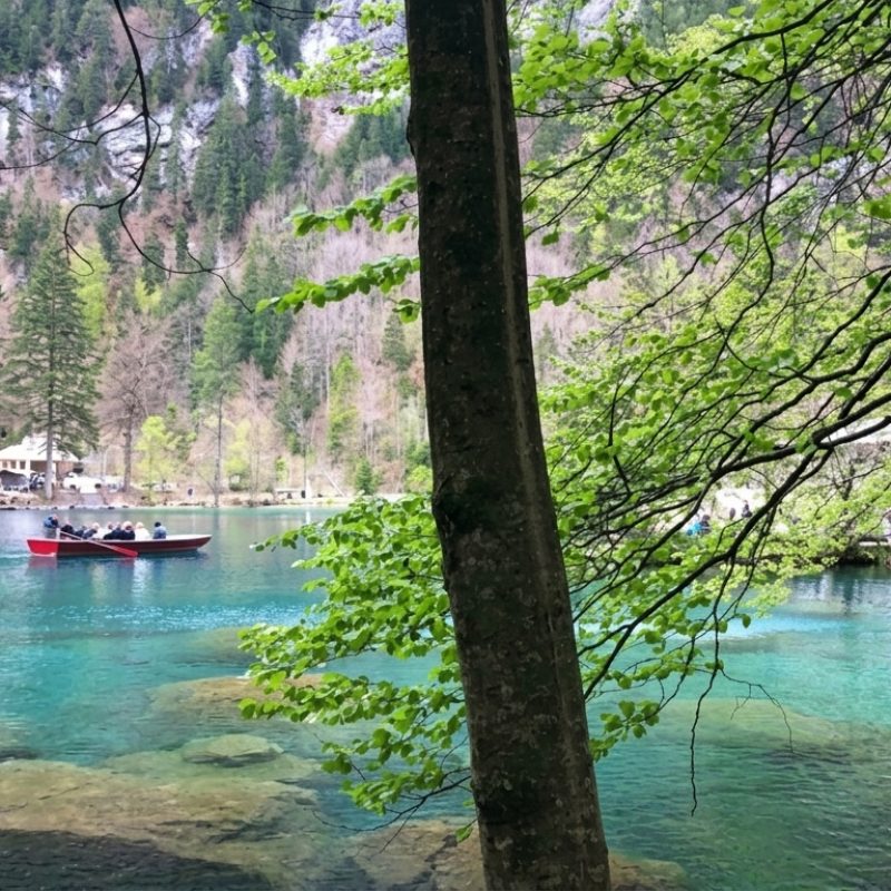 Lagos Oeschinensee e Blausee na Suíça — tour privativo Swiss Xperience