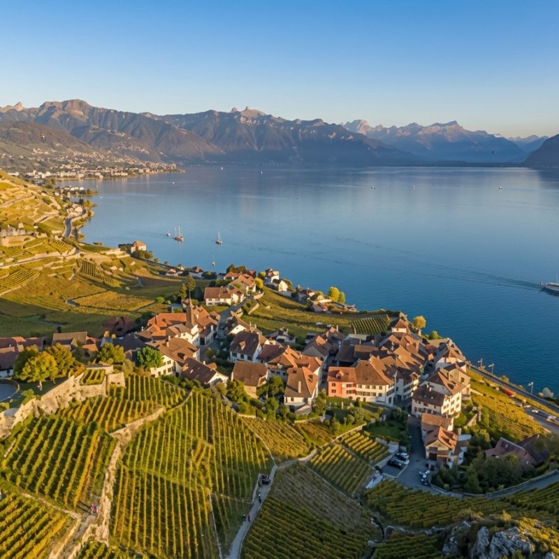Lavaux, Vevey e Montreux Privativo — tour privativo na Suíça com a Swiss Xperience