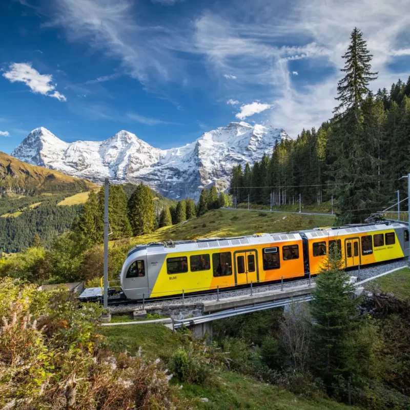 Tour_Müren_Guia_Trem
